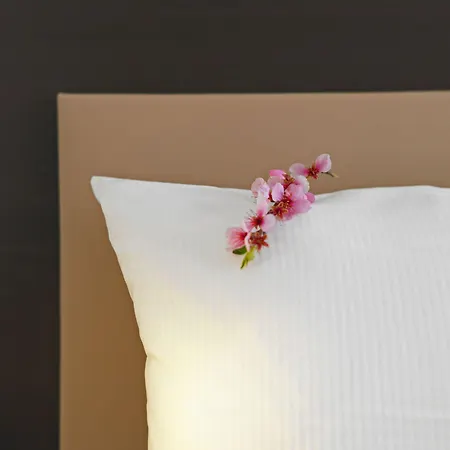 Prinzregent Hotel Edenkoben