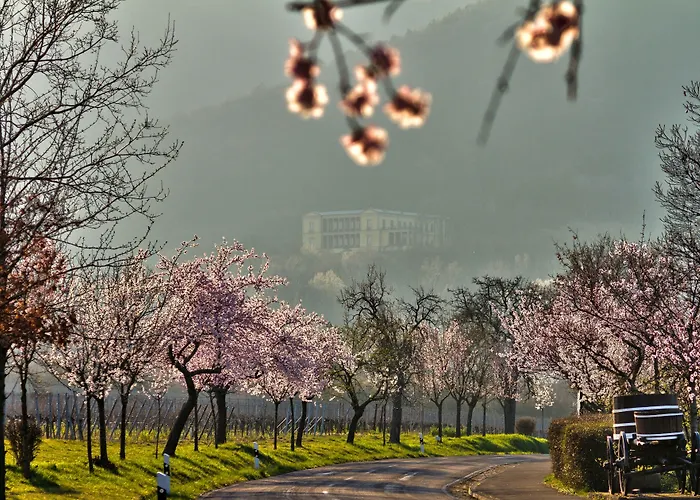 Prinzregent Ξενοδοχείο