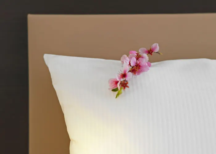 Prinzregent Hotel Edenkoben